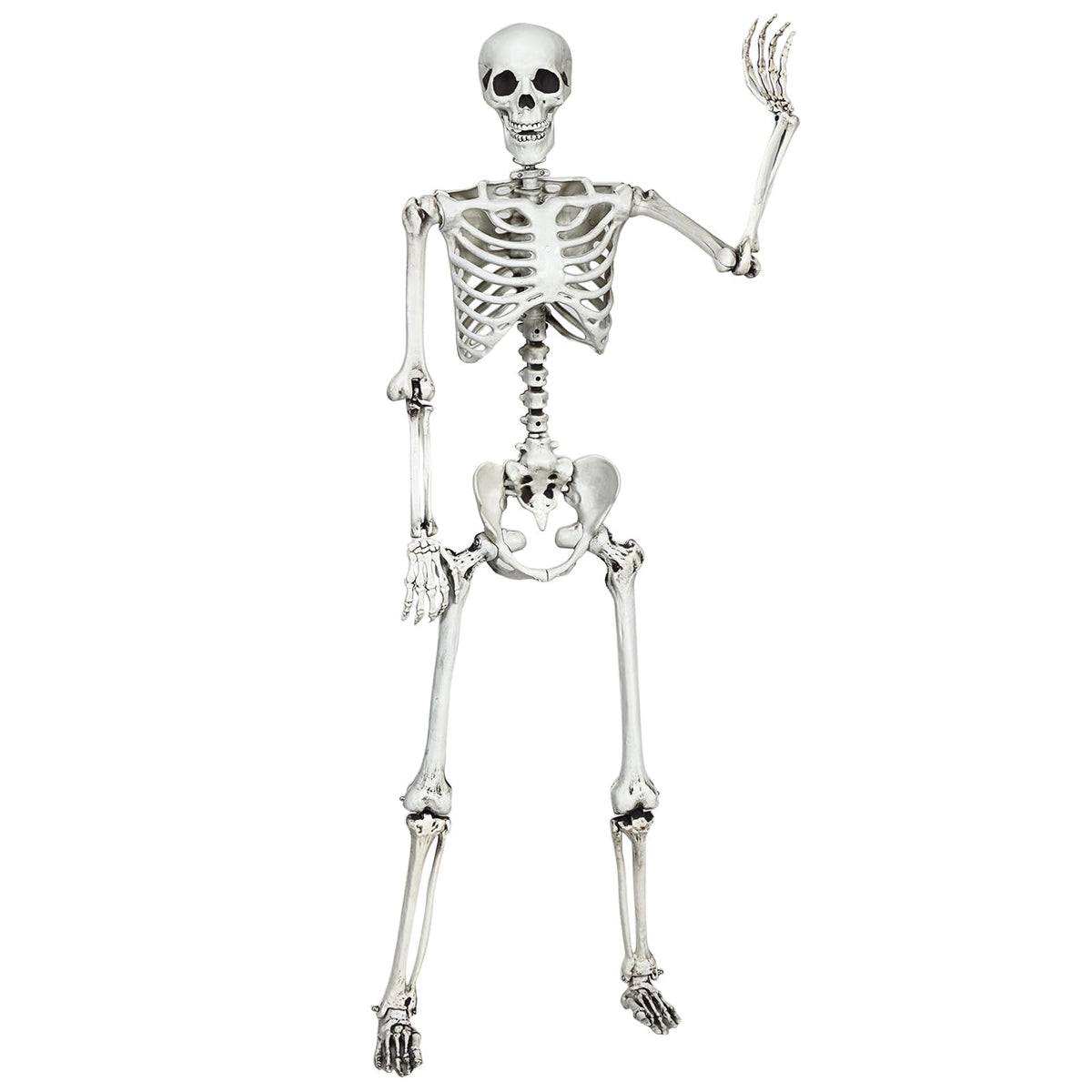 5.4 FT Posable Skeleton Decoration X22232
