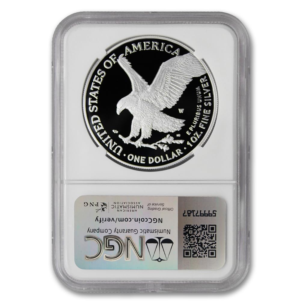 1 oz American Silver Eagle Coin N17039