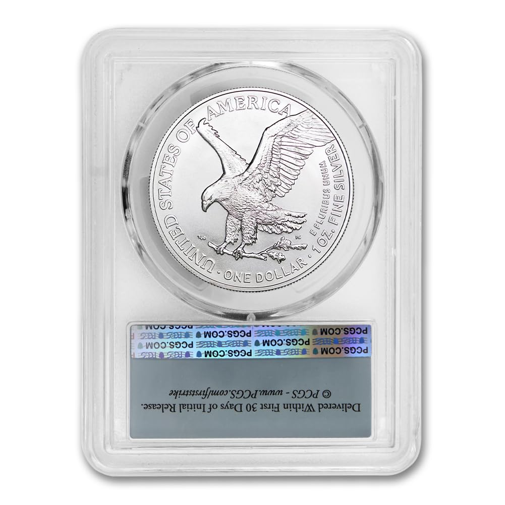 1 oz American Silver Eagle Coin MS-70 R1005