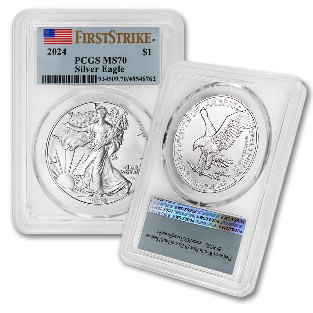 1 oz American Silver Eagle Coin MS-70 R1005