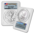 1 oz American Silver Eagle Coin MS-70 R1005