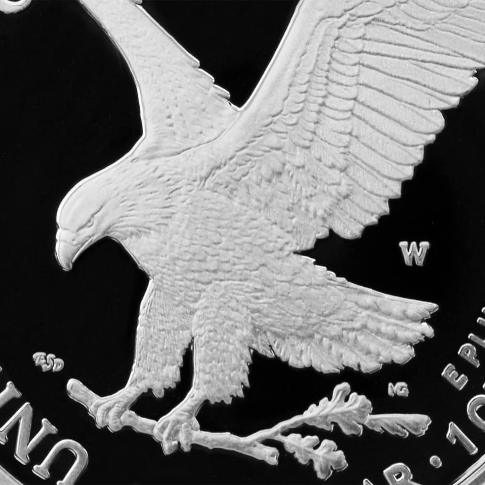 1 oz American Silver Eagle Coin N17039