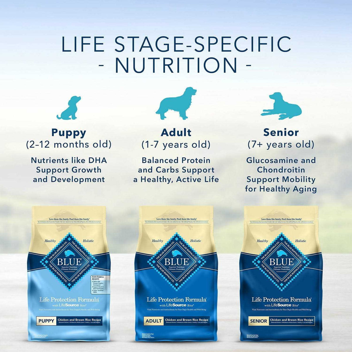 Adult Dry Dog Food Chicken and Brown Rice G9431