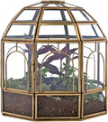 Large Glass Terrarium 10 x 9 x 9 Brass T216