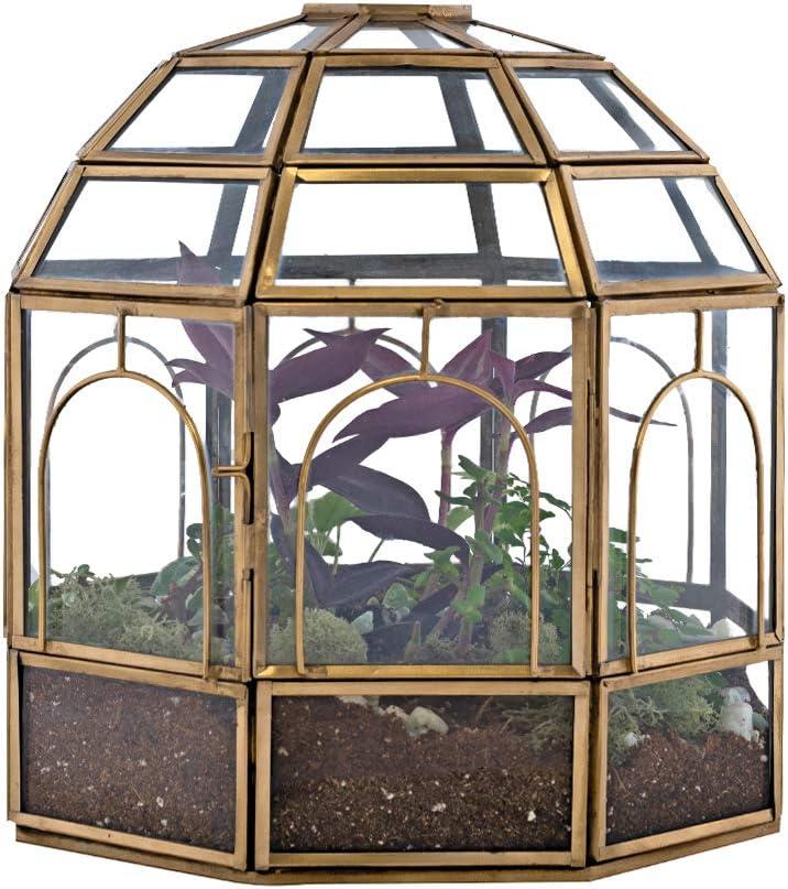 Large Glass Terrarium 10 x 9 x 9 Brass T216