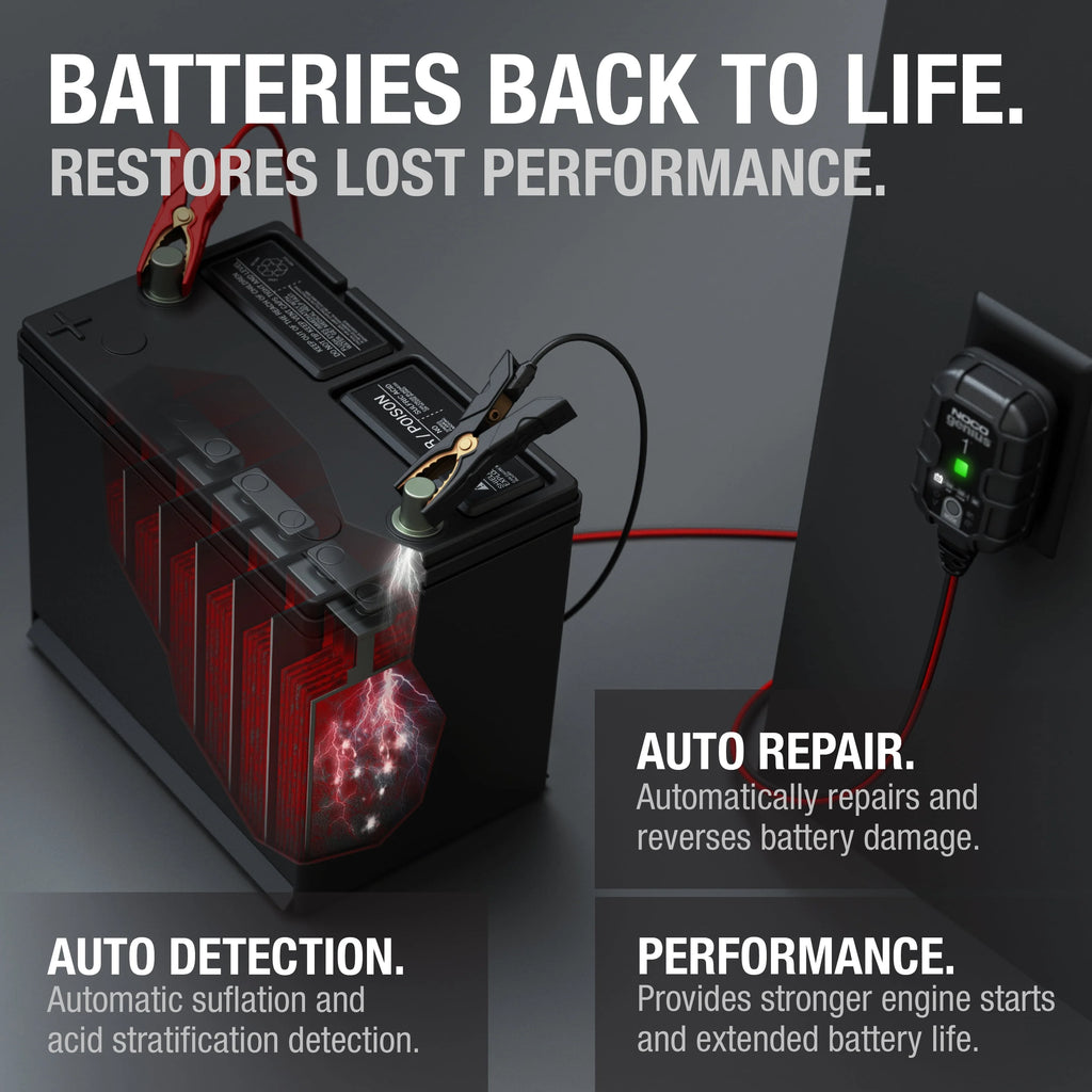 6V/12V 1A Smart Battery Charger and Maintainer V7808