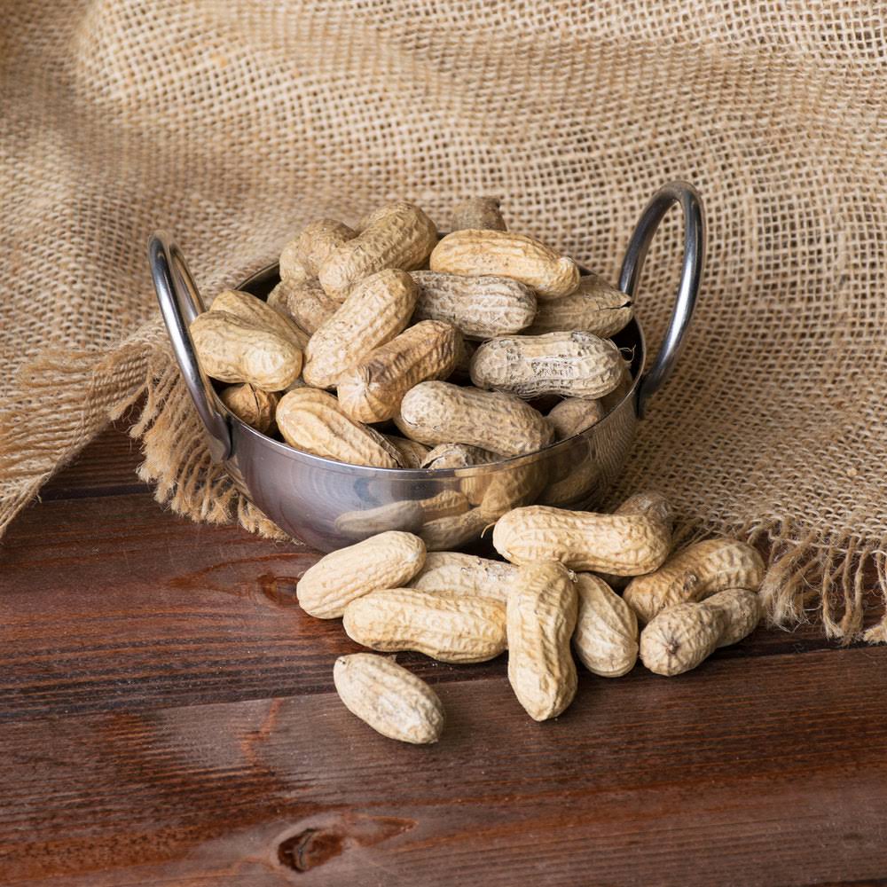25 lb. Roasted Unsalted In-Shell Peanuts O543