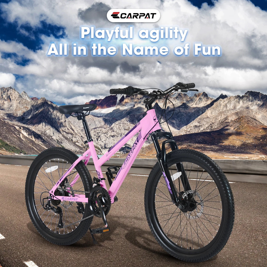 24 inch 21 Speeds Mountain Bike H286894