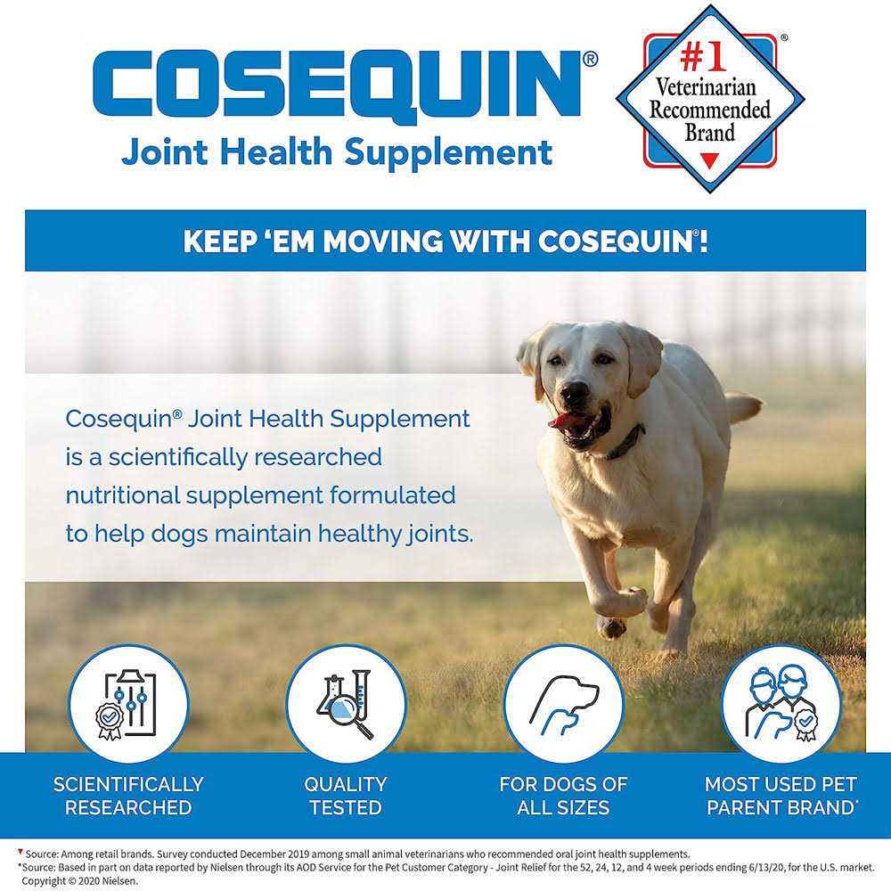 Joint Health Supplement for Senior Dogs W905