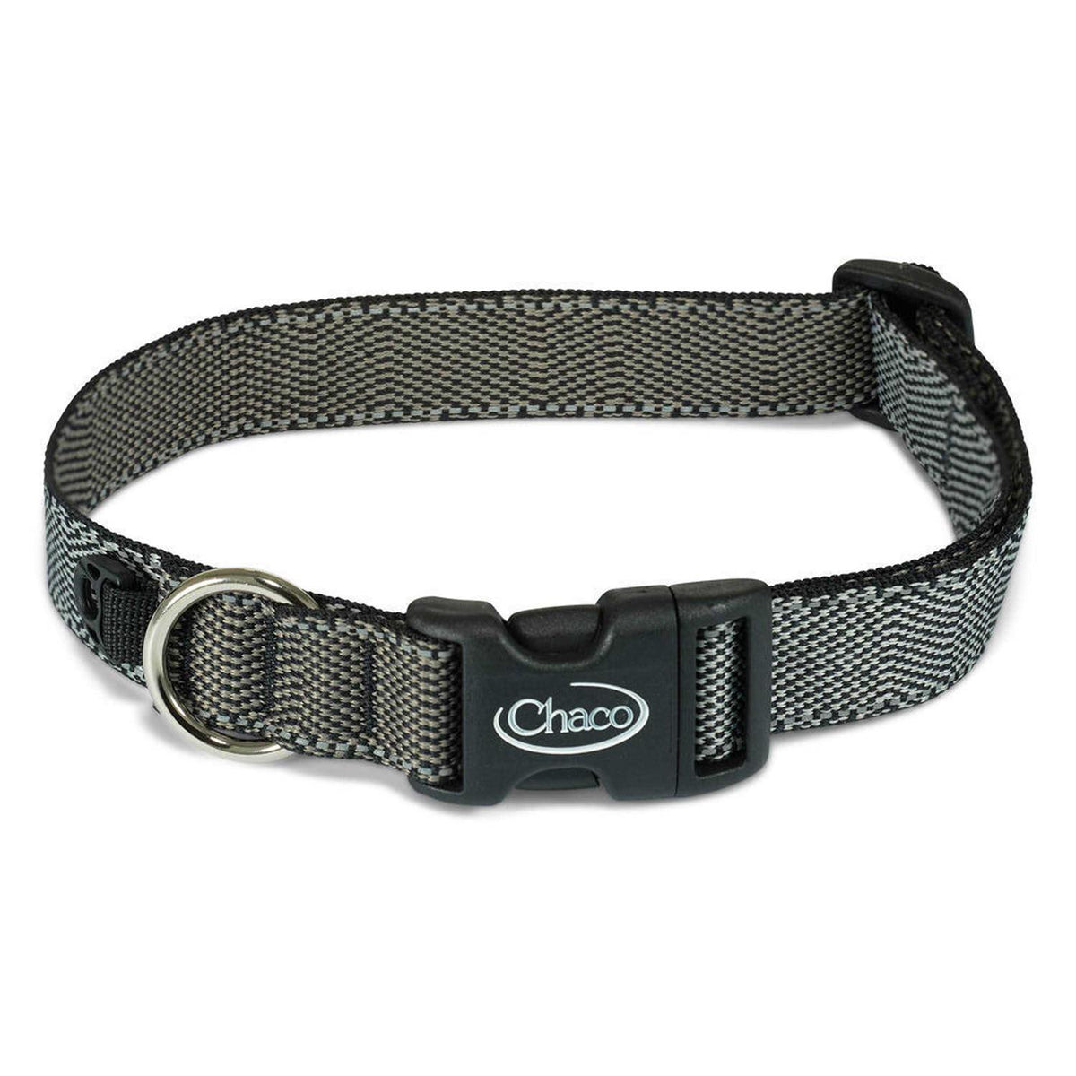 Dog Collar Y77537