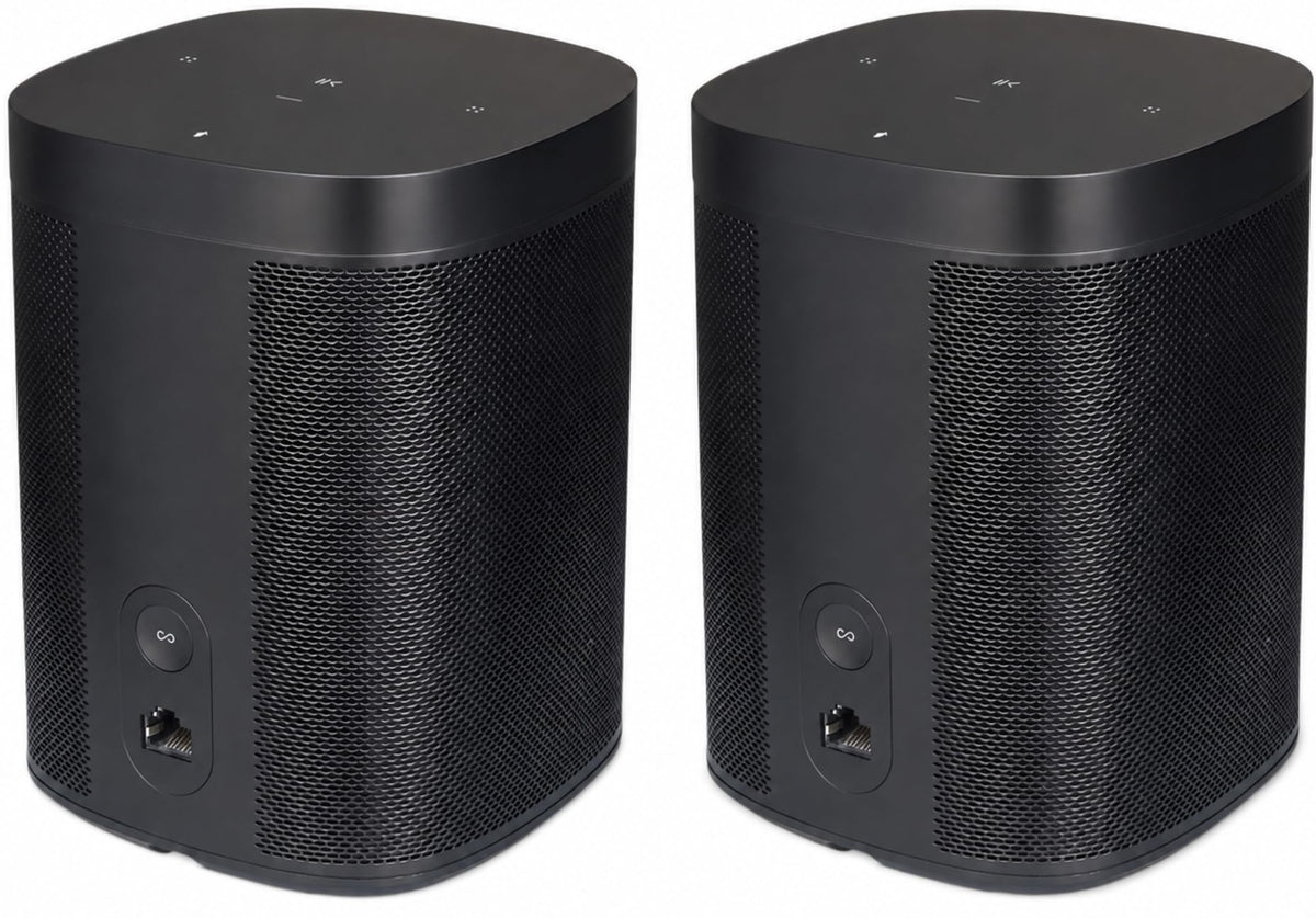 Black Voice Controlled Smart Speaker 2-Pack G5101