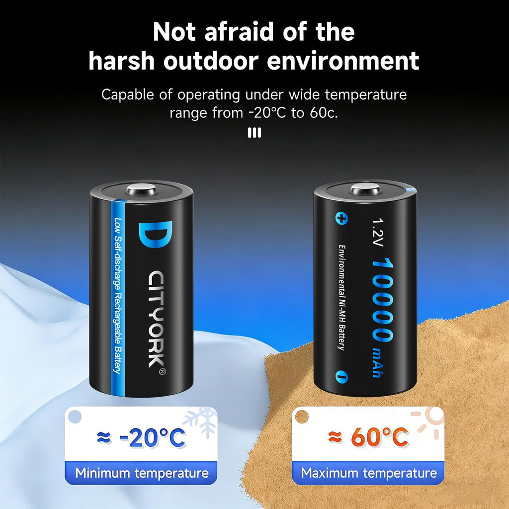4 Pack Rechargeable D Batteries 10000mAh L43745