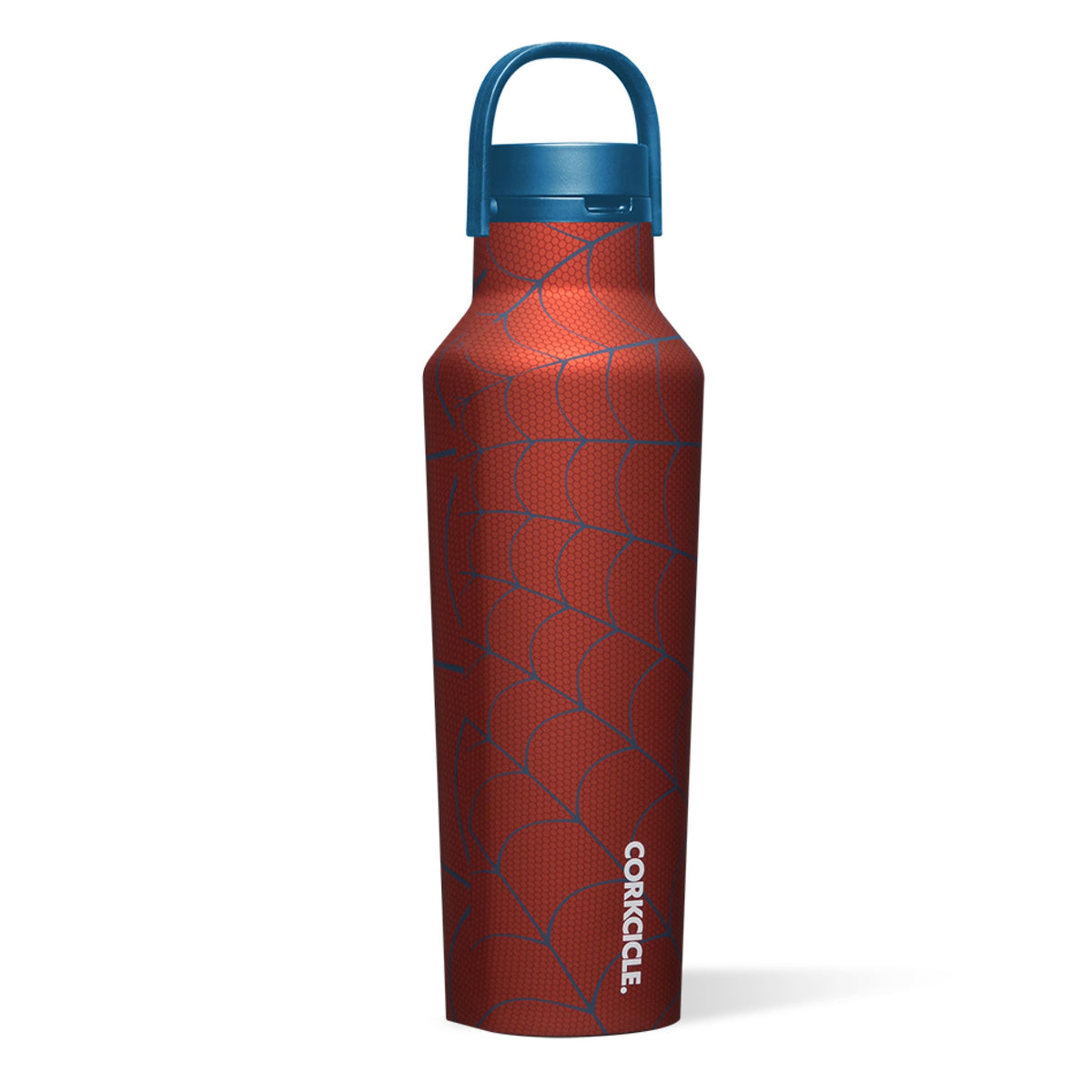 20 oz Water Bottle with Spill-Free Cap T746776