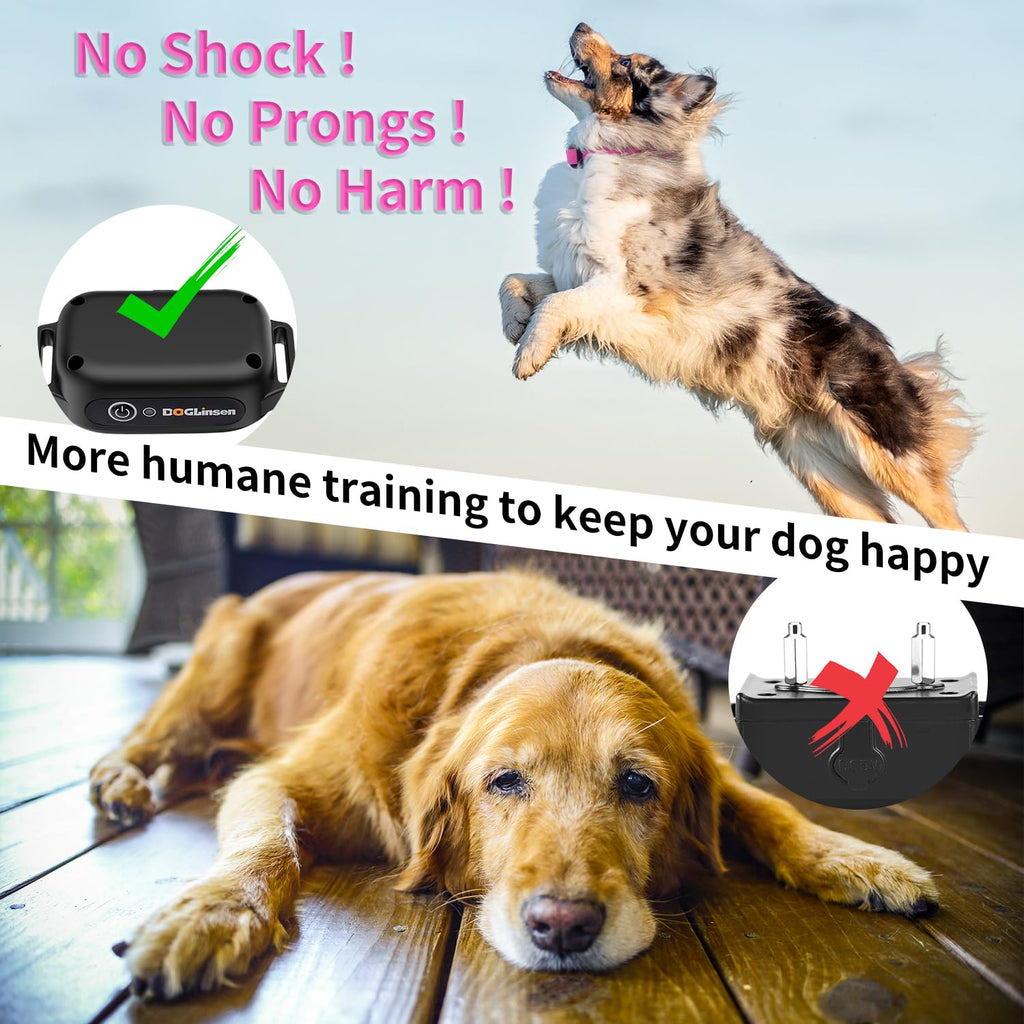 Dog Training Collar with Remote M18882