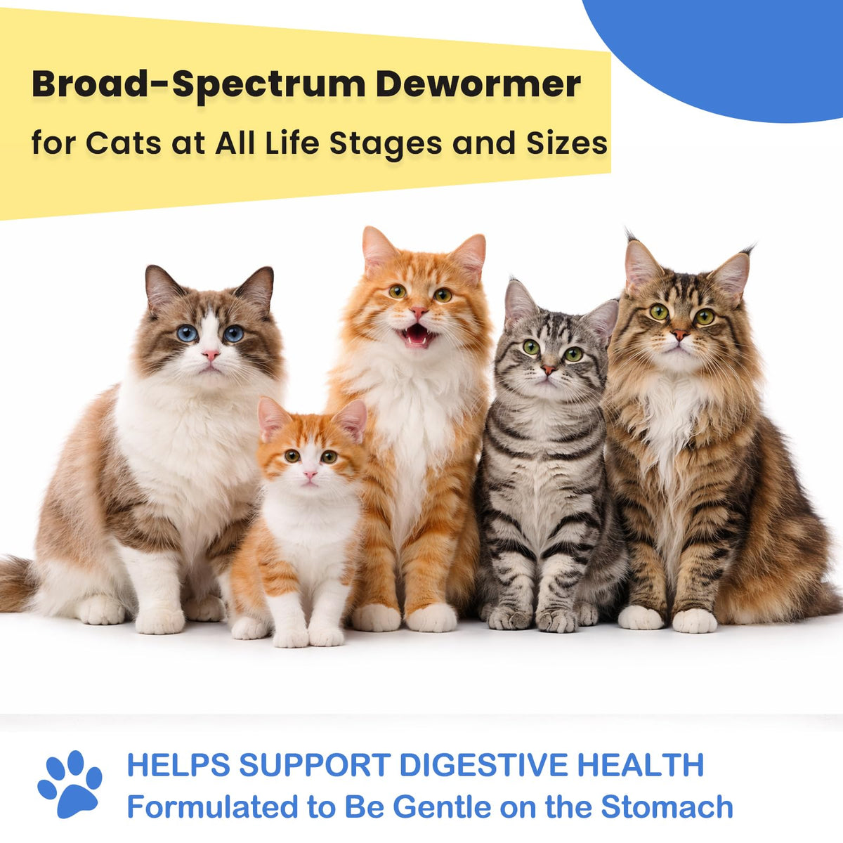 Cat Dewormer Tablets E119