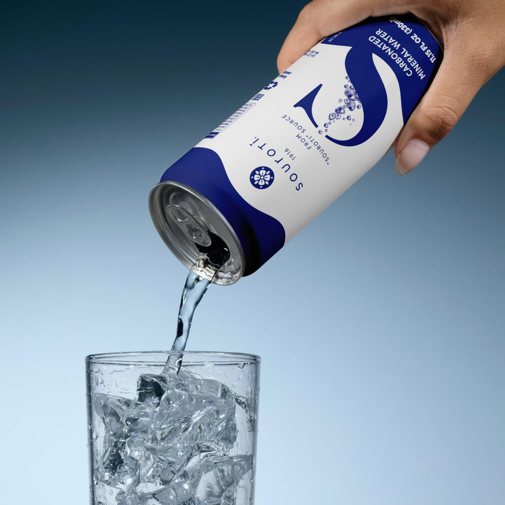 Unflavored Carbonated Mineral Water 6-Pack 330ml Tins N91553