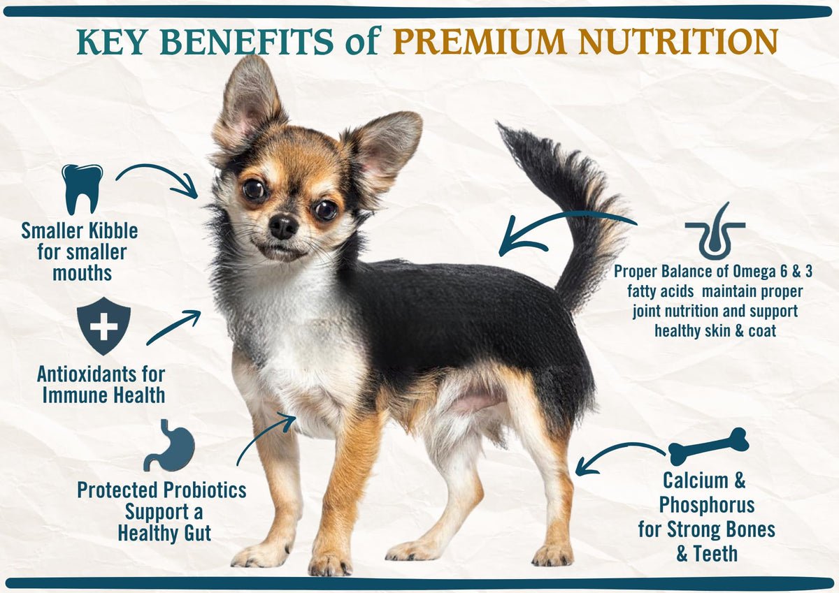 Natural Premium Small Bites Adult Dry Dog Food, Chicken, Brown Rice & Turkey 28lb M5581