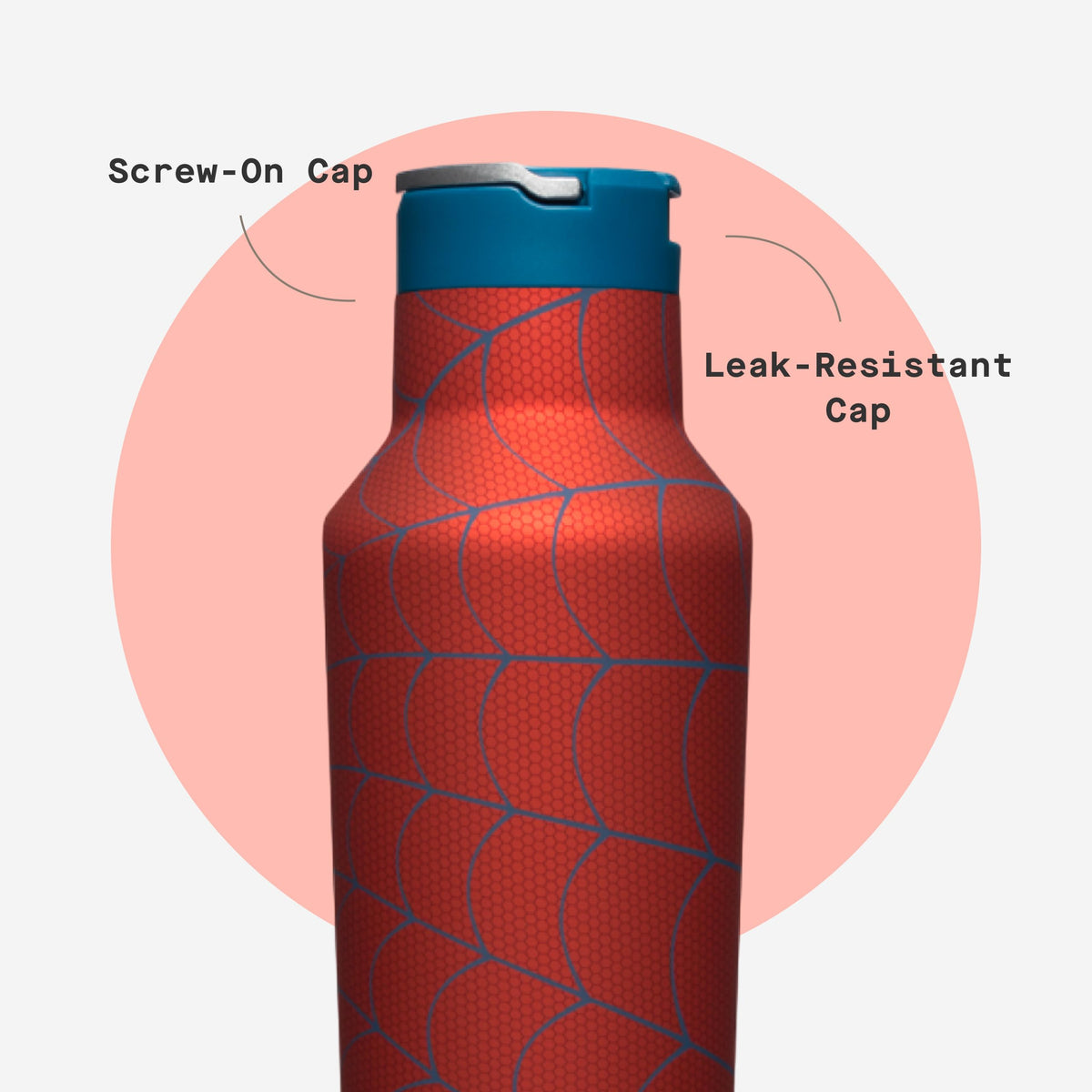 20 oz Water Bottle with Spill-Free Cap T746776