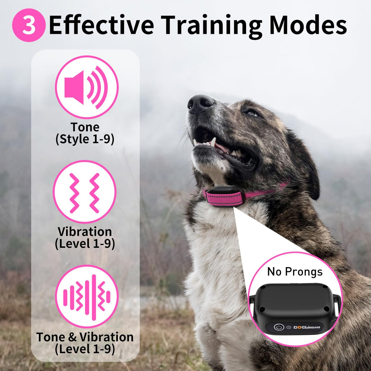 Dog Training Collar with Remote M18882