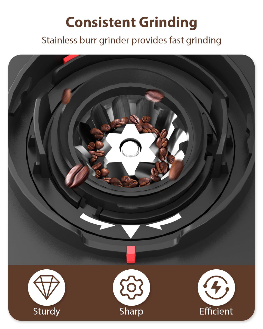 Black Burr Coffee Grinder S635