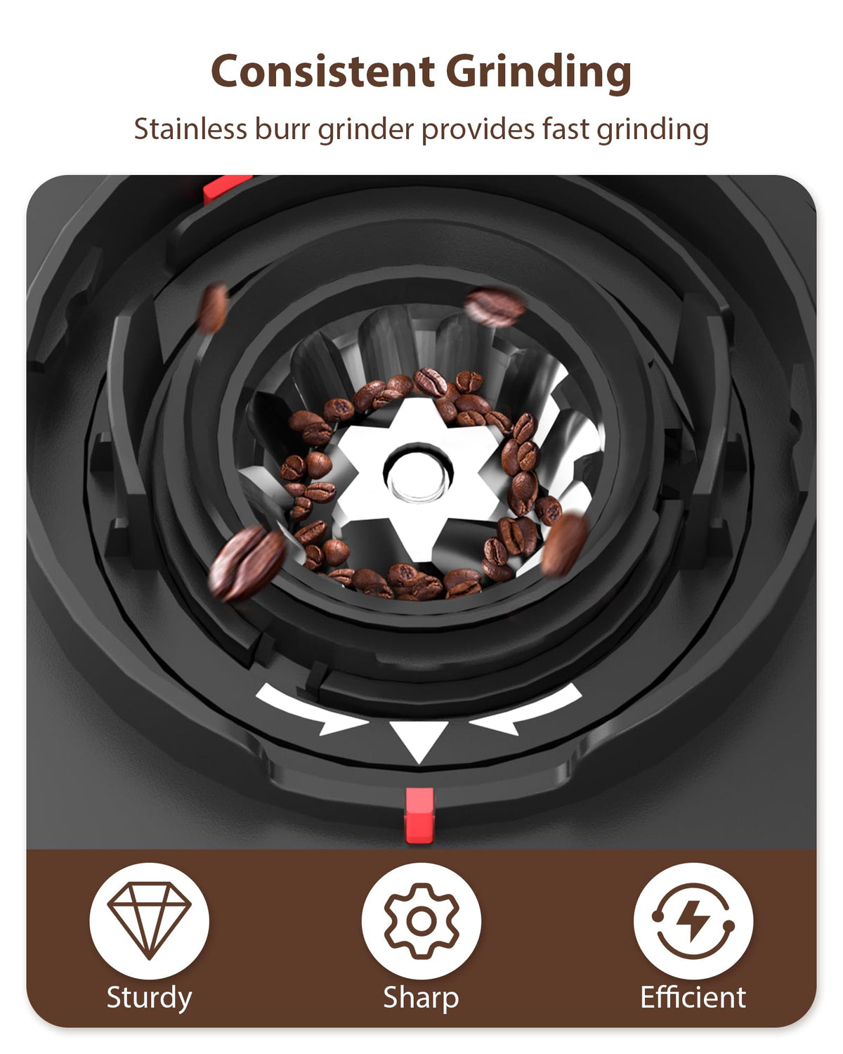 Black Burr Coffee Grinder S635