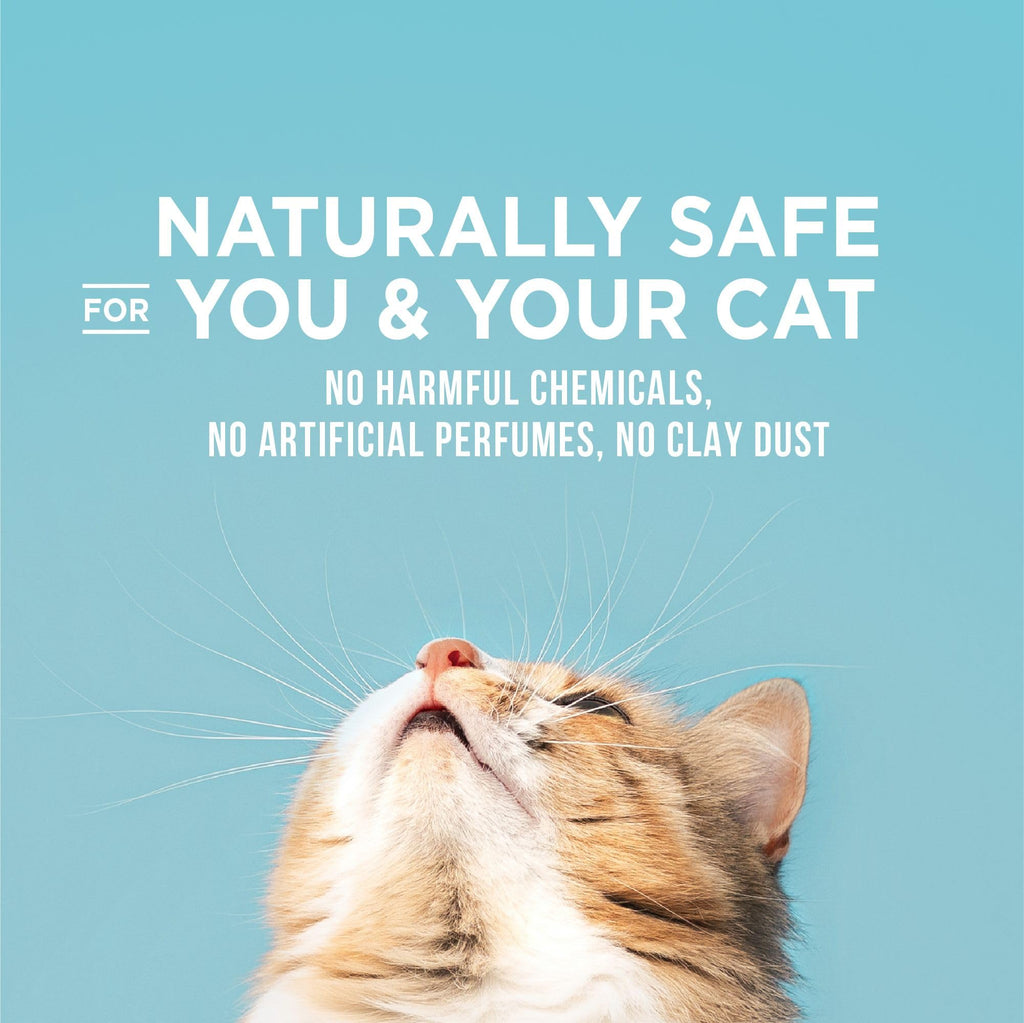 Cat Litter 15 lb Bag L78529