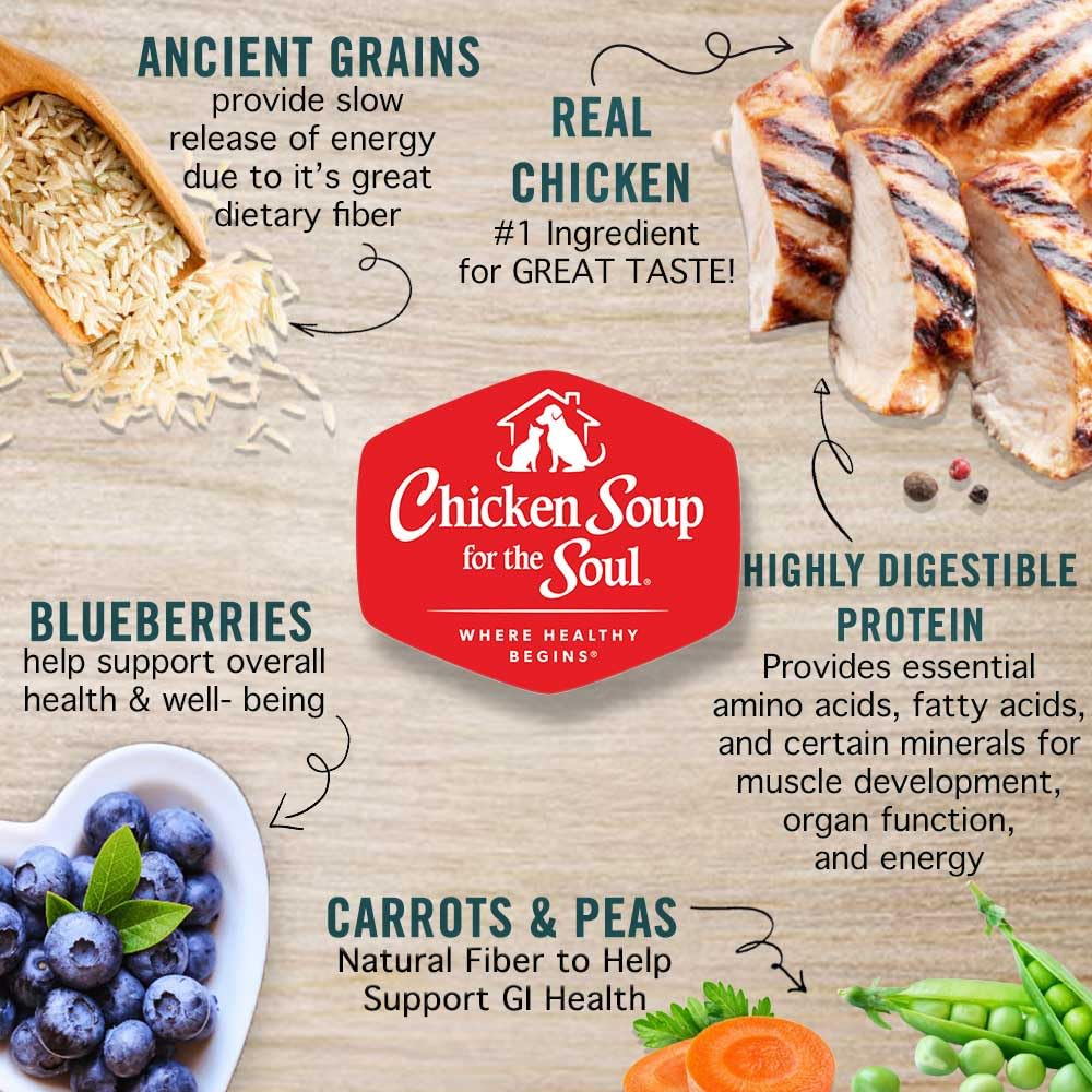Natural Premium Small Bites Adult Dry Dog Food, Chicken, Brown Rice & Turkey 28lb M5581