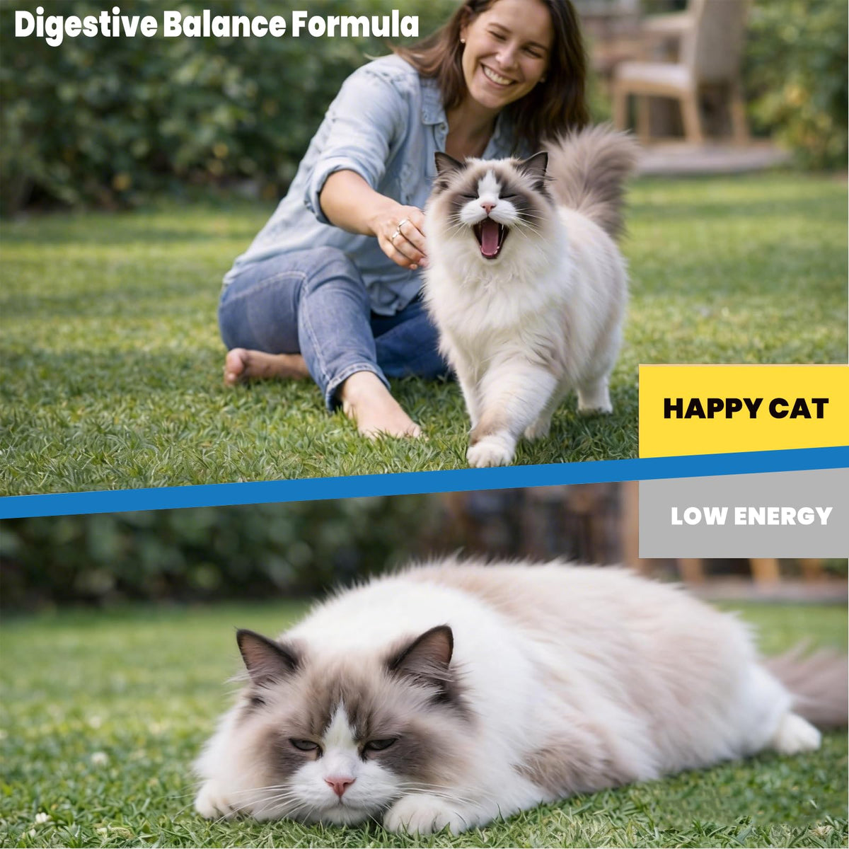 Cat Dewormer Tablets E119