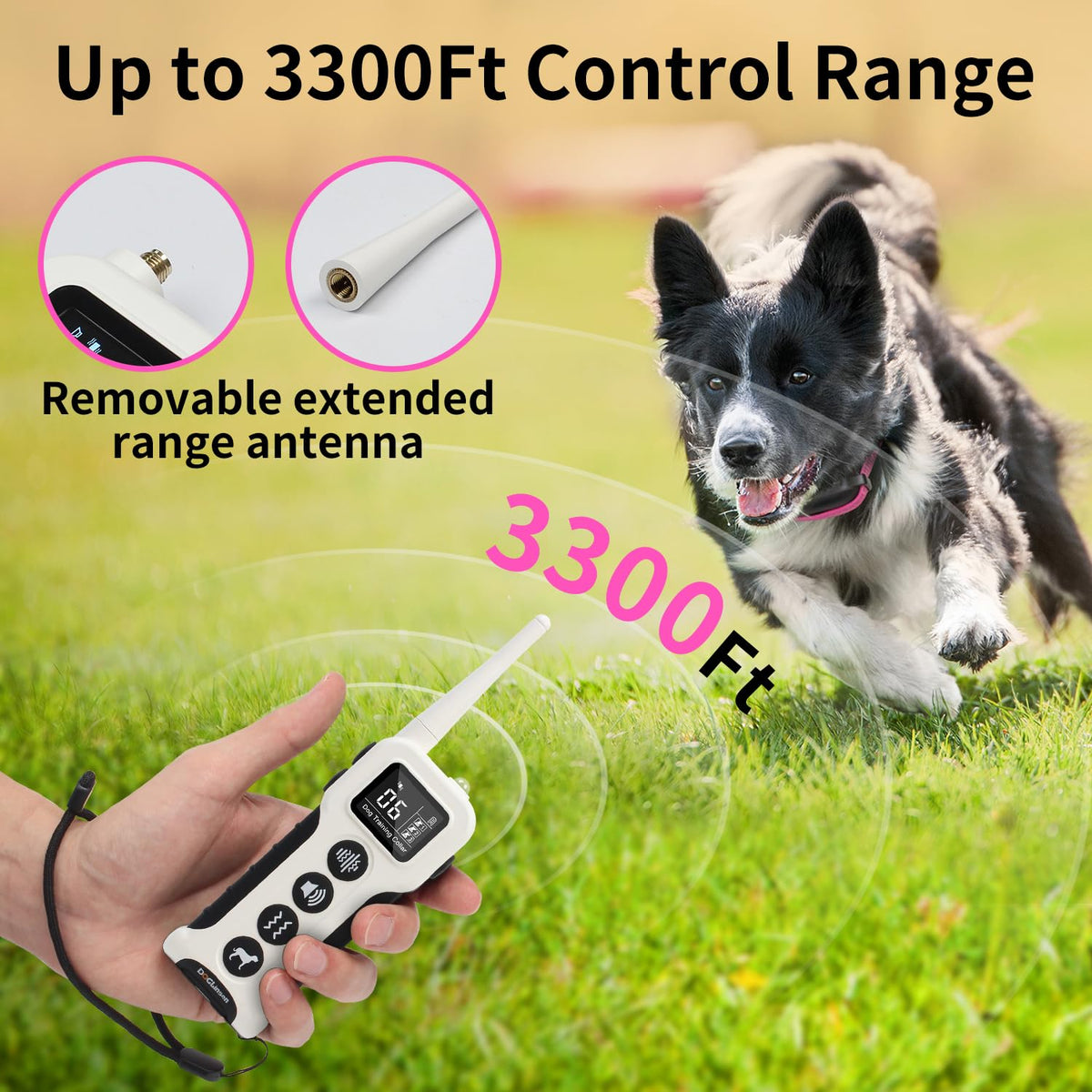 Dog Training Collar with Remote M18882