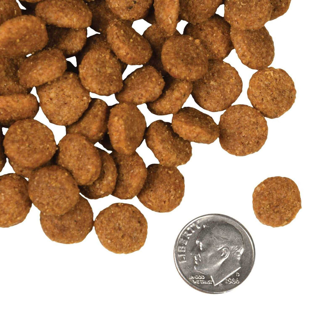 Salmon A La Veg Dog Food B2943
