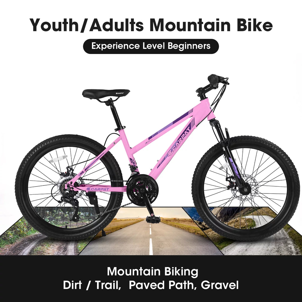 24 inch 21 Speeds Mountain Bike H286894