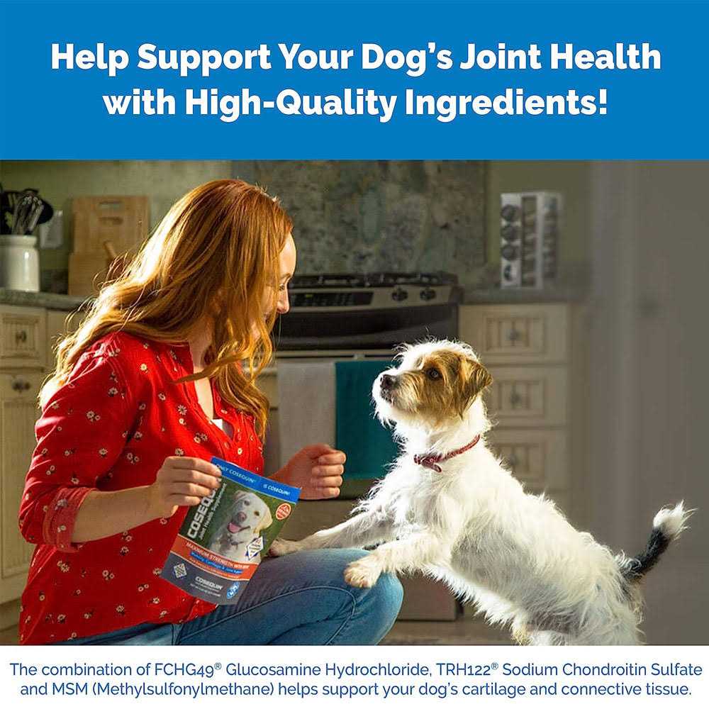 Joint Health Supplement for Senior Dogs W905
