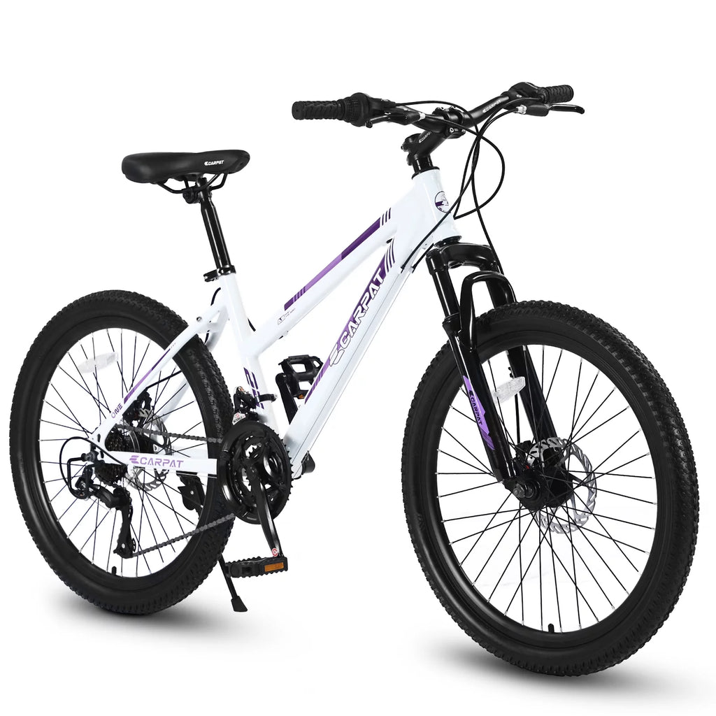 24 inch 21 Speeds Mountain Bike H286894