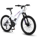 24 inch 21 Speeds Mountain Bike H286894