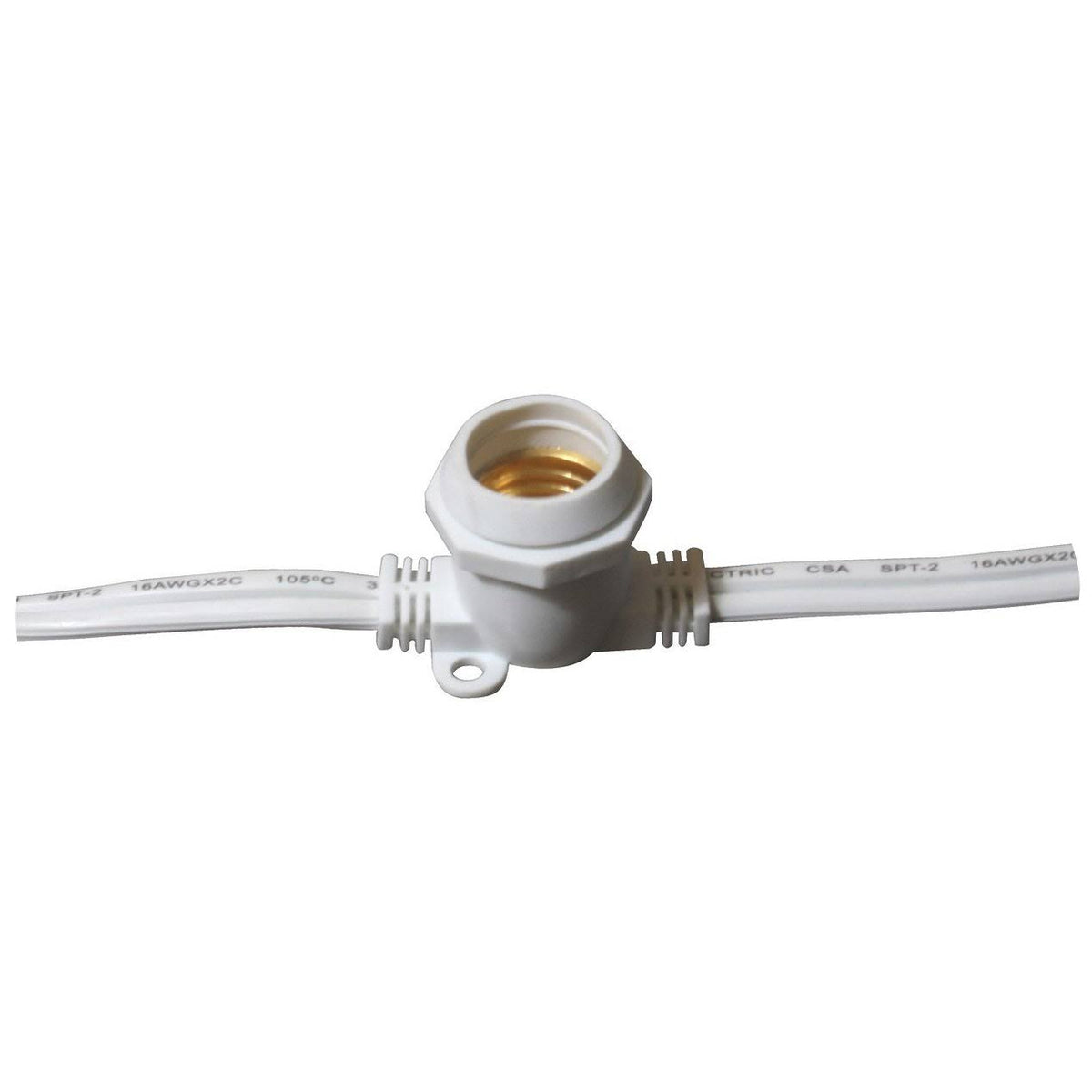 Intermediate Base String White Q240691