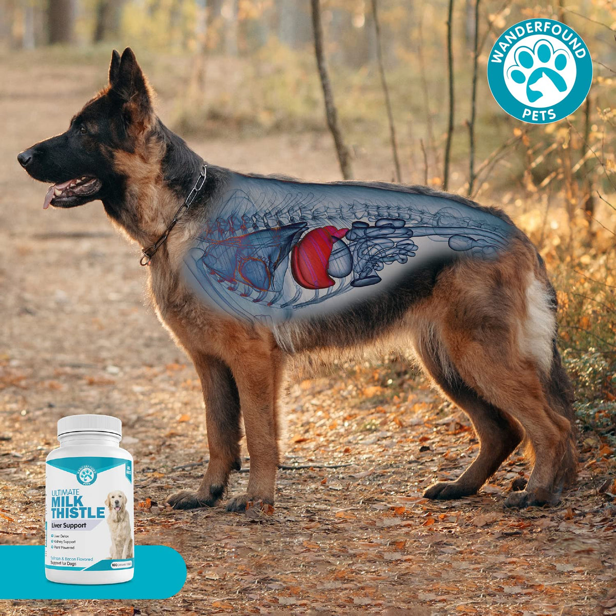 Milk Thistle for Dogs Chewable Tablets L73110