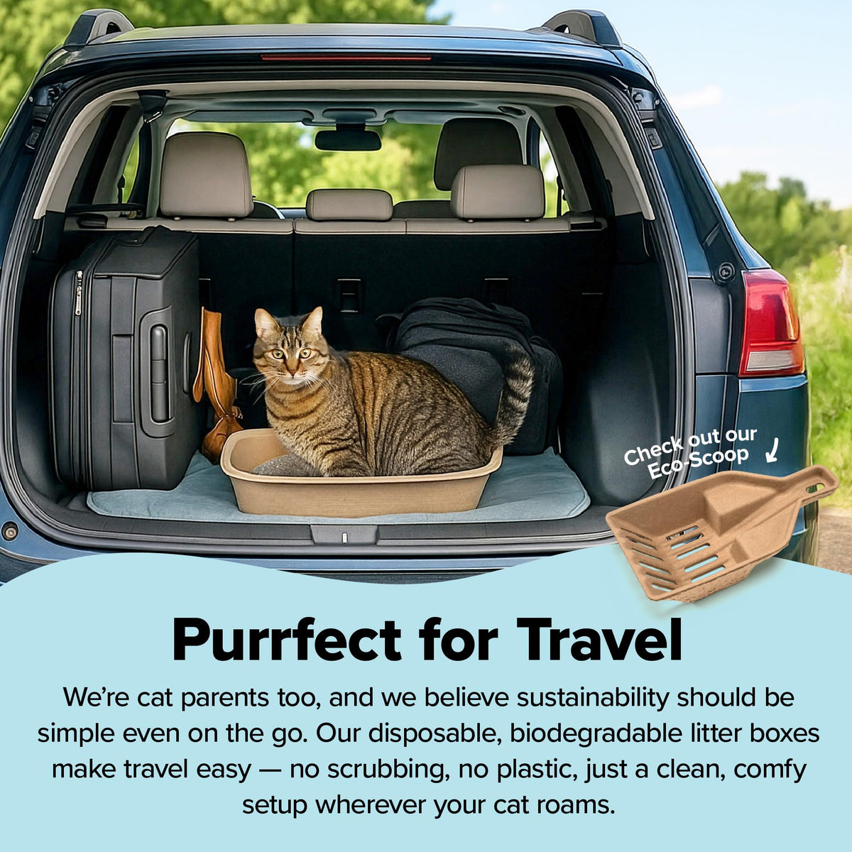 Large 6 Count Disposable Cat Litter Box Q322708