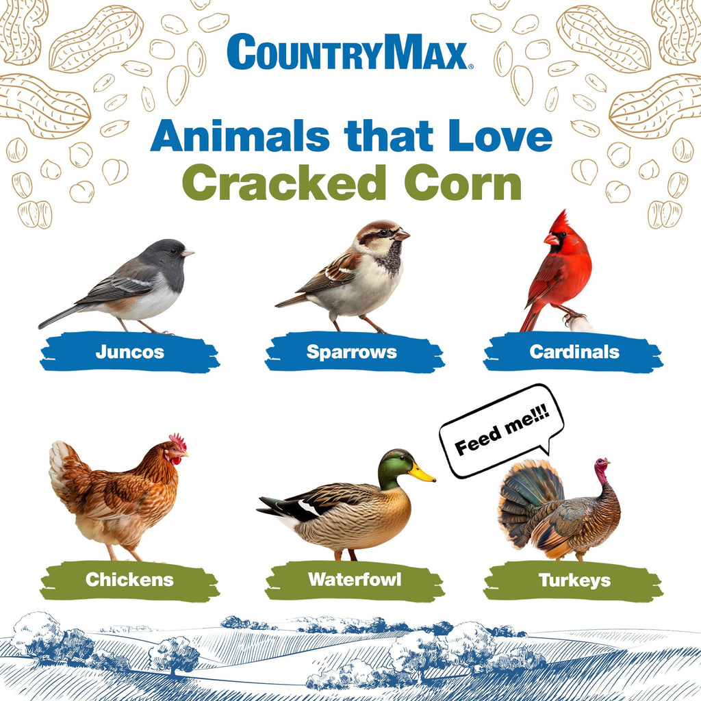 20LB Cracked Corn Chicken Feed Y9089