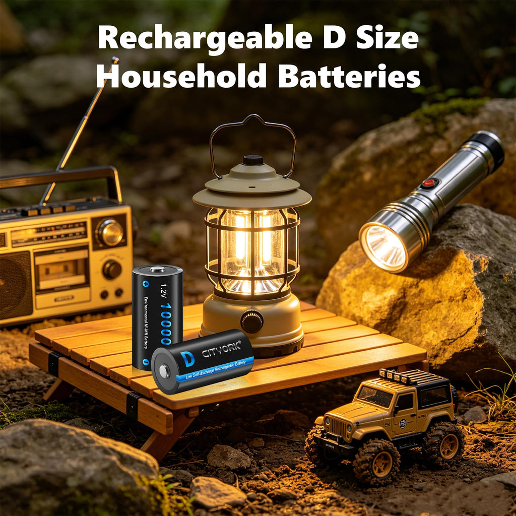 4 Pack Rechargeable D Batteries 10000mAh L43745