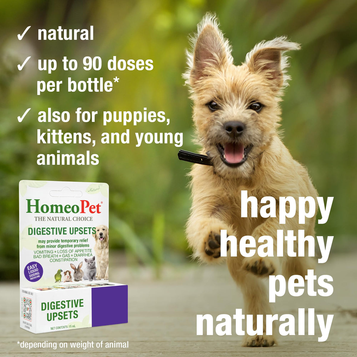 15 Milliliters Digestive Upsets for Dogs, Cats, and Small Pets B12482