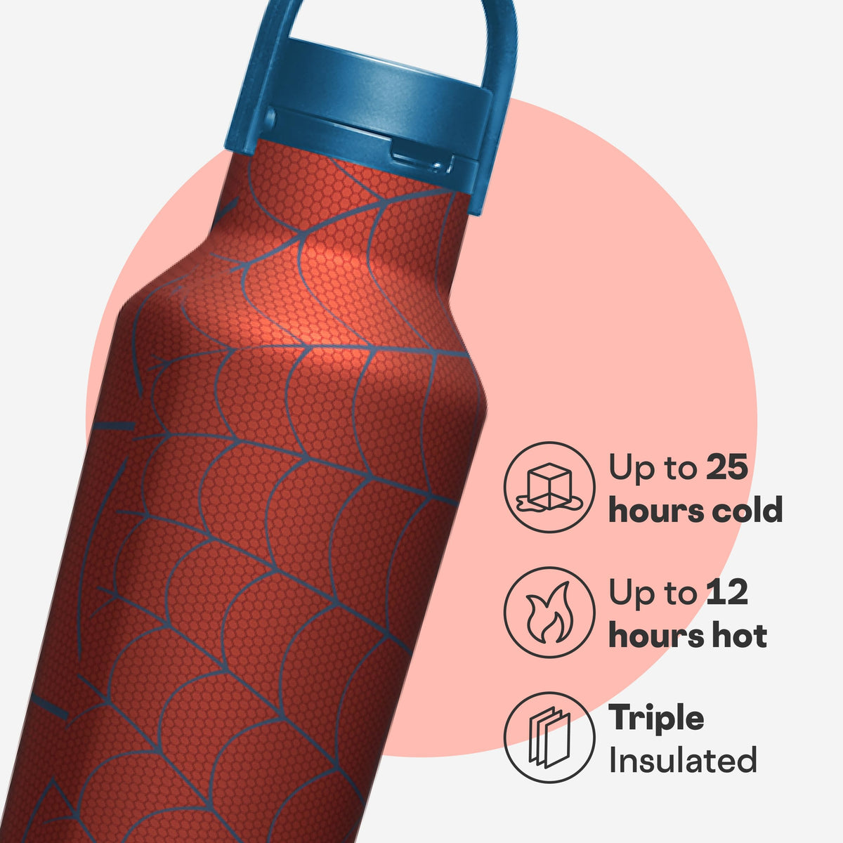 20 oz Water Bottle with Spill-Free Cap T746776