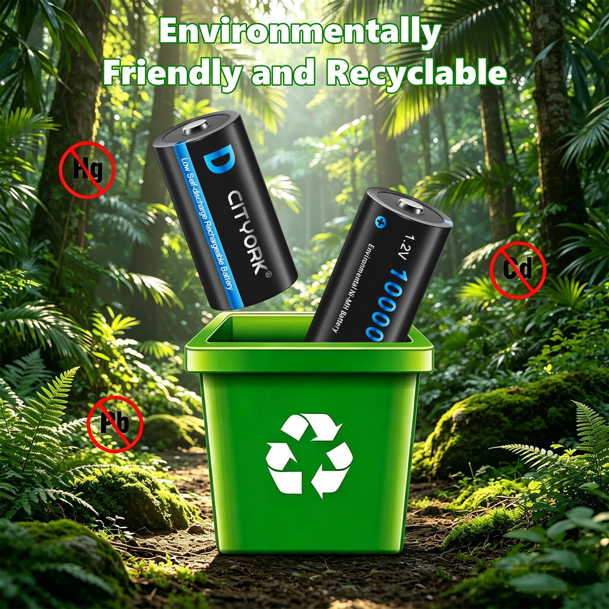 4 Pack Rechargeable D Batteries 10000mAh L43745