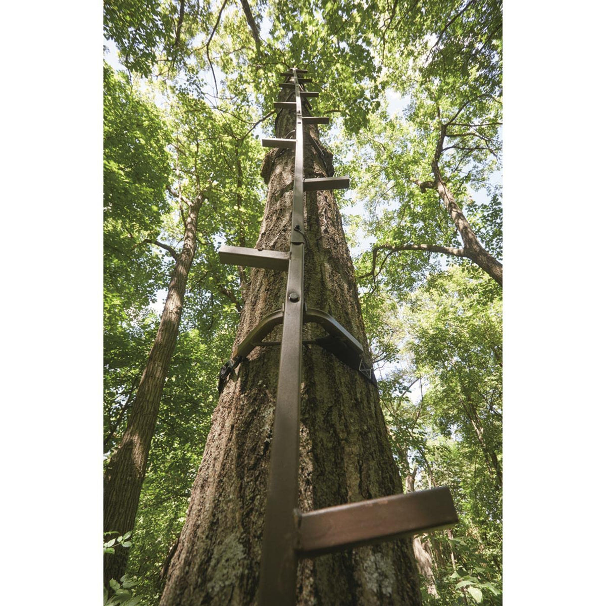20' Rapid Climbing Sticks 4-Pack C322976