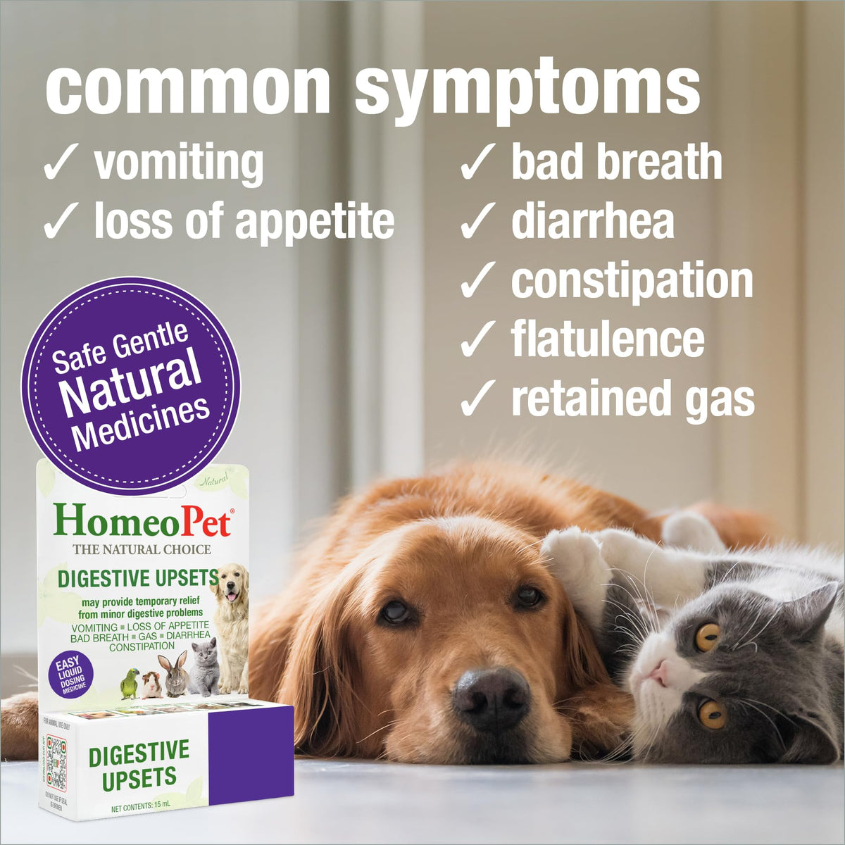 15 Milliliters Digestive Upsets for Dogs, Cats, and Small Pets B12482