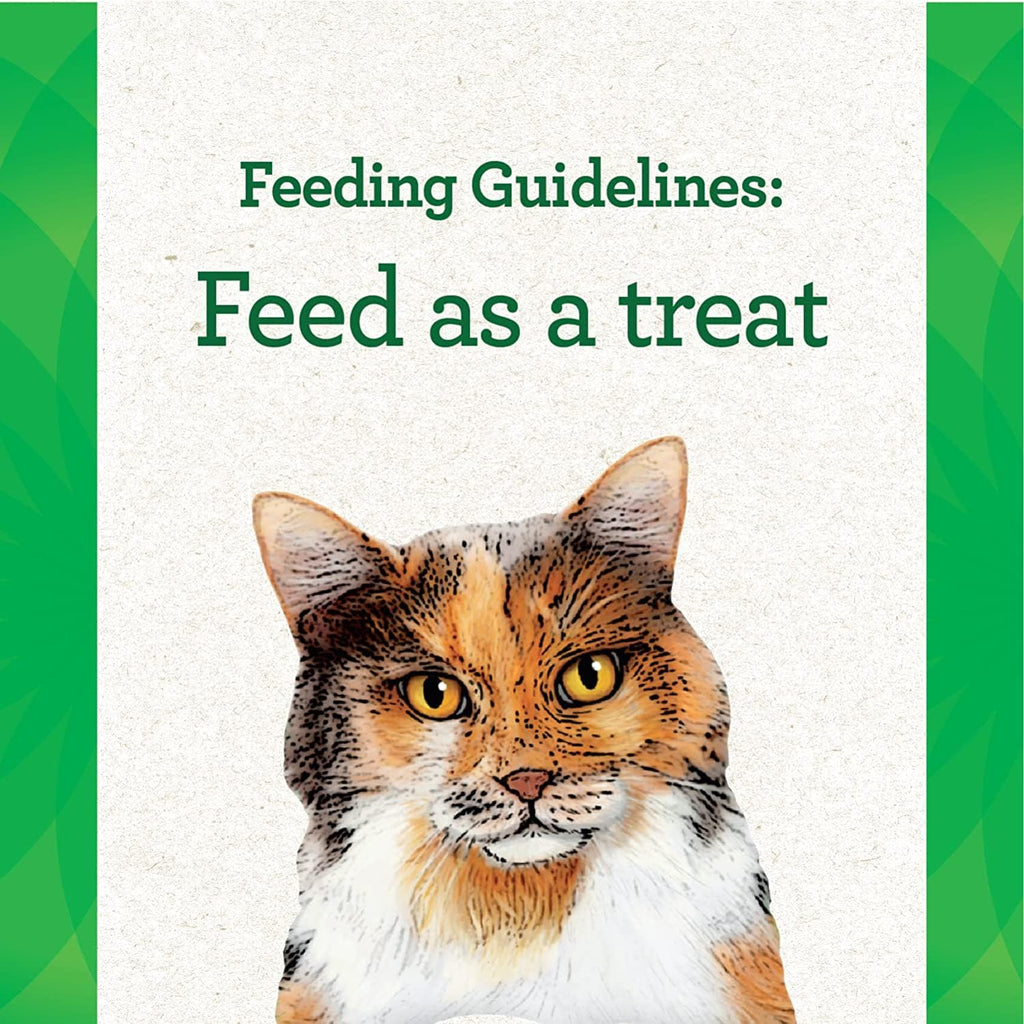 Salmon Cat Treats 1.6 oz Pack of 3 N474563