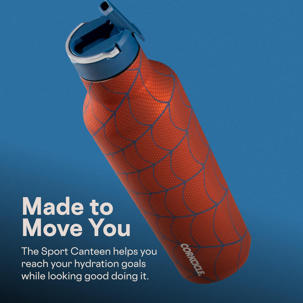 20 oz Water Bottle with Spill-Free Cap T746776