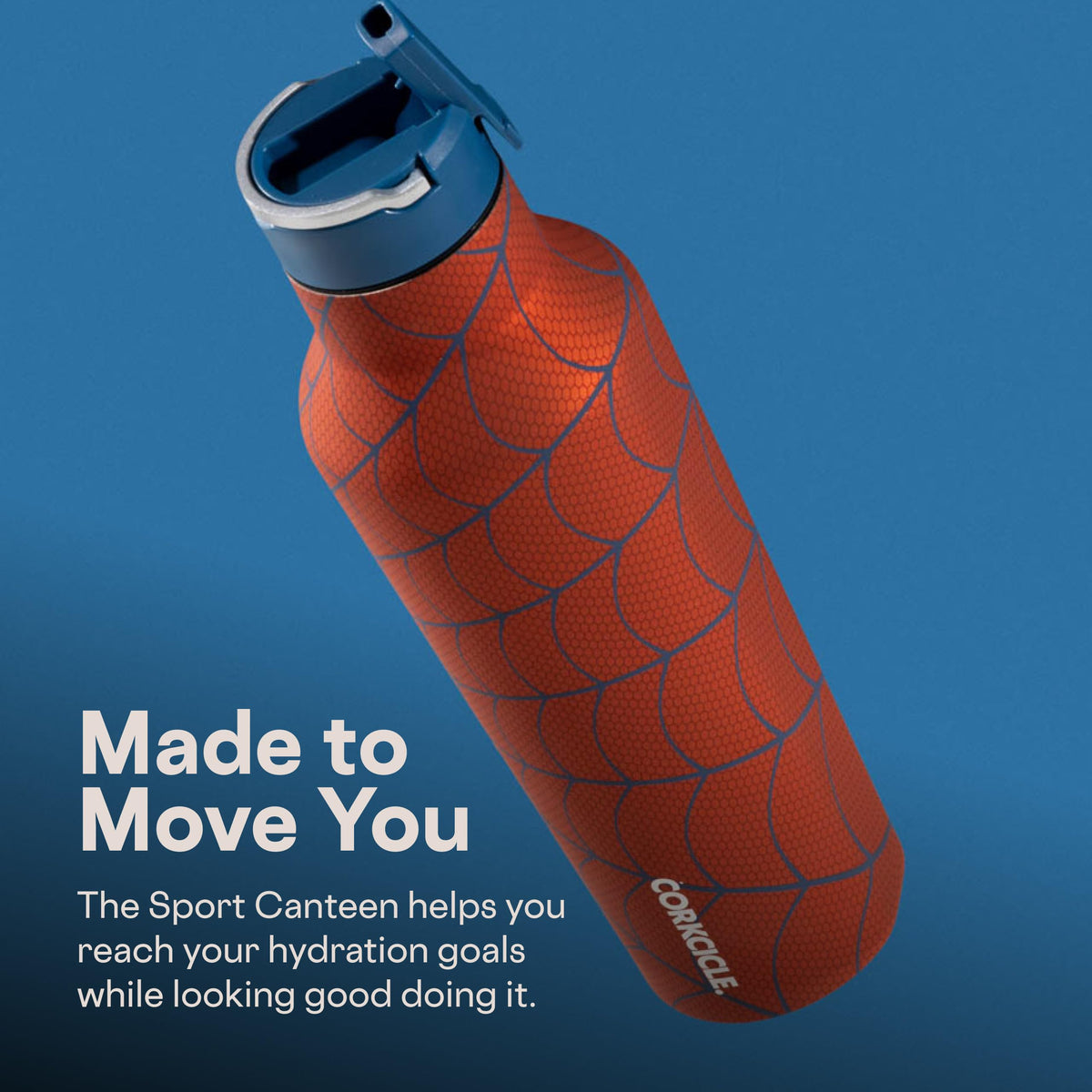 20 oz Water Bottle with Spill-Free Cap T746776