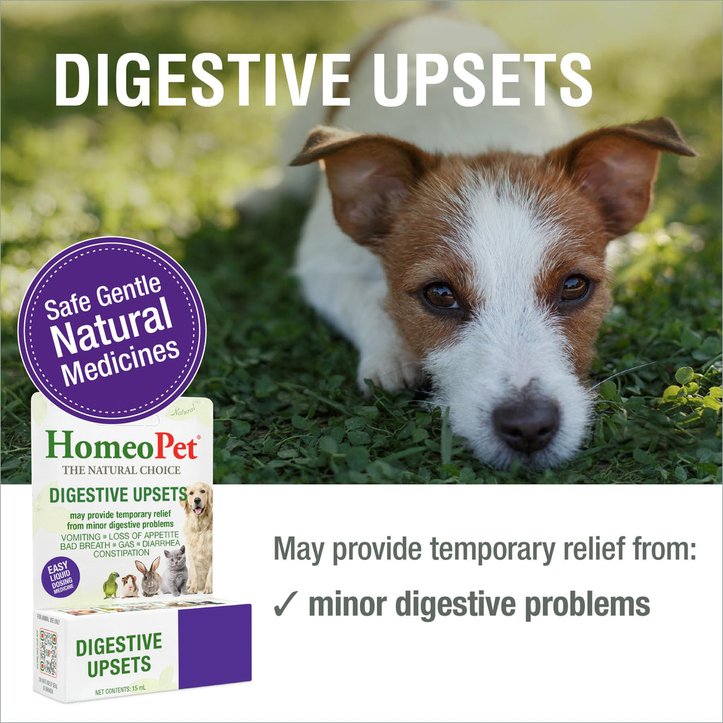 15 Milliliters Digestive Upsets for Dogs, Cats, and Small Pets B12482