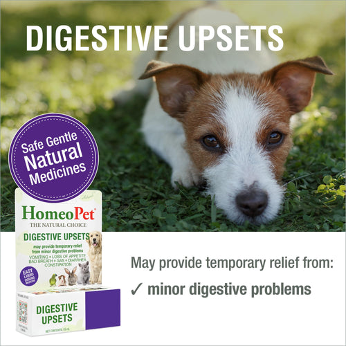 15 Milliliters Digestive Upsets for Dogs, Cats, and Small Pets B12482