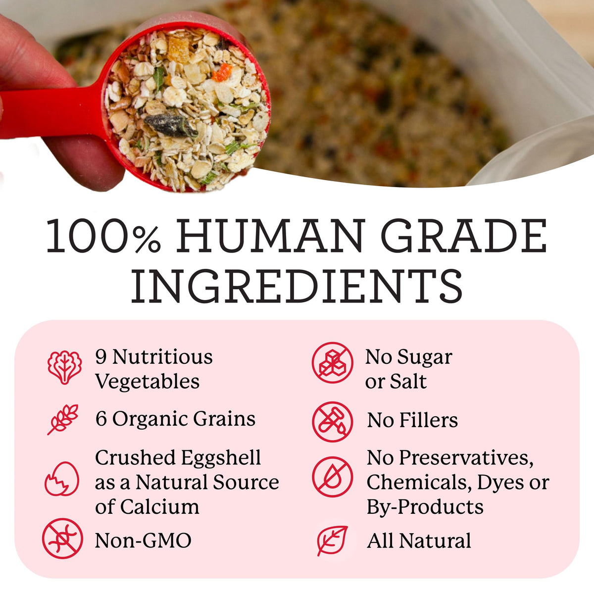 Dehydrated Dog Food Base Mix 10 lb J489